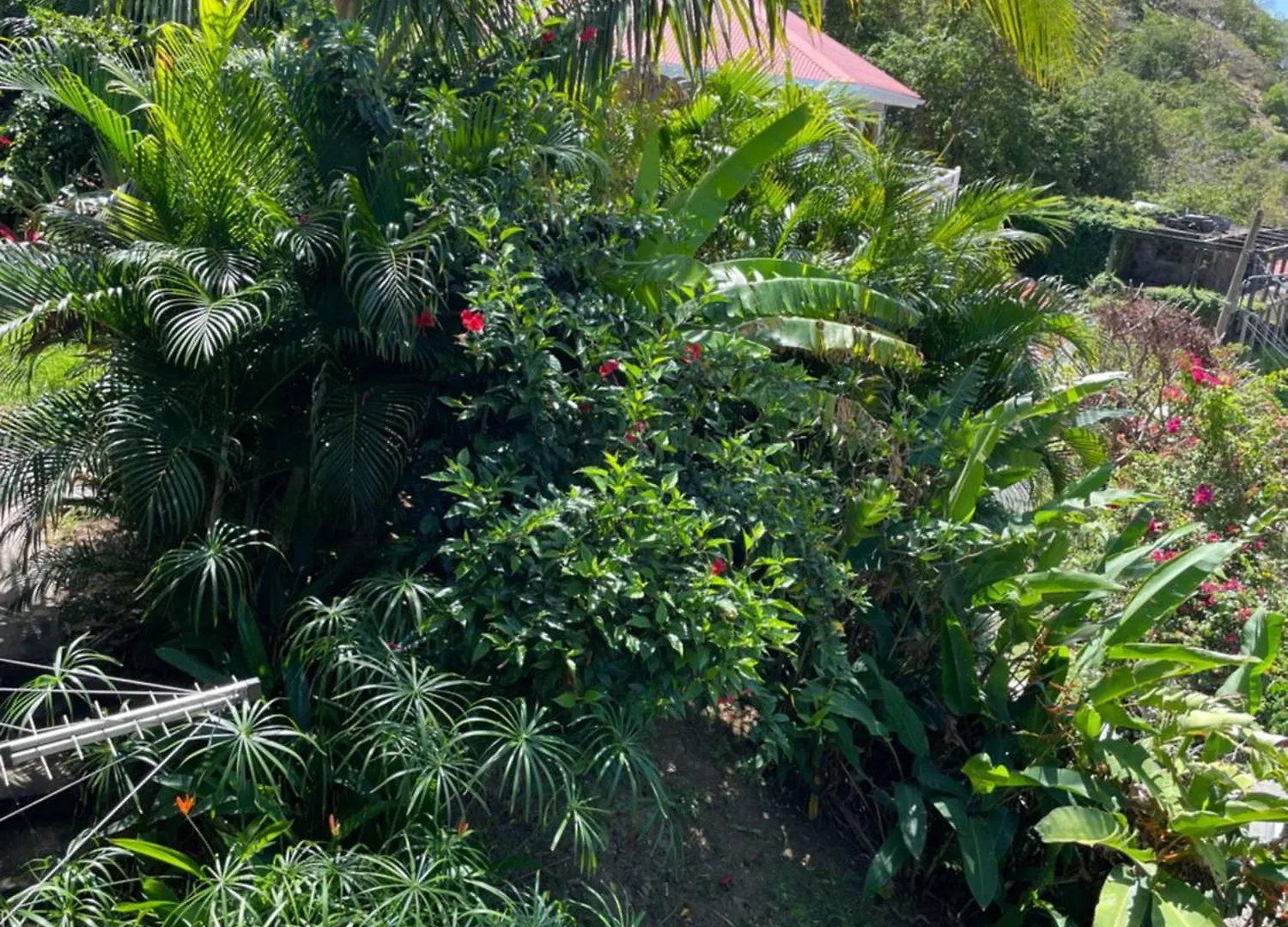 Apartmán Kazajany Terre-De-Haut